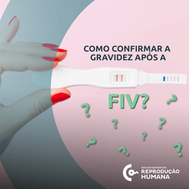 Como confirmar a gravidez após a FIV Núcleo Santista de Reprodução Humana