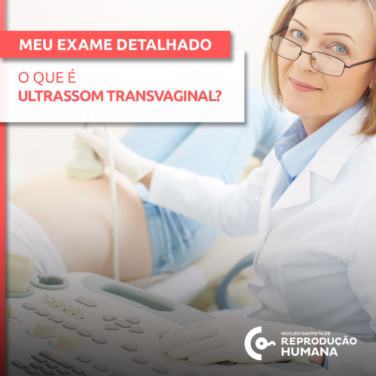 O Que é Ultrassom Transvaginal Núcleo Santista De Reprodução Humana 7368