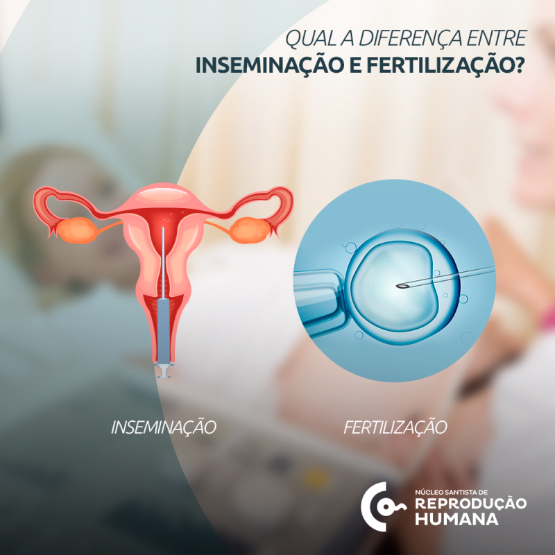 Qual a diferença entre inseminação e fertilização? - Núcleo Santista de