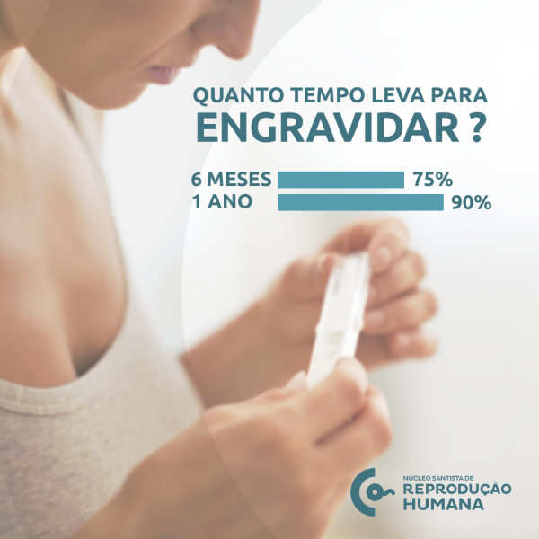 Quanto tempo leva para engravidar? - Núcleo Santista de Reprodução Humana
